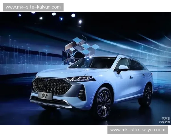 开云升级版：引领奢华潮流的新时代